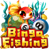 Câu Cá Bingo CX88