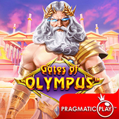 Cổng Olympus CX88 slot